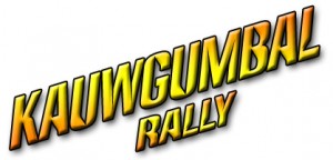 Kauwgumbal-Rally